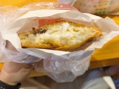 -和众大油条(维明路店)