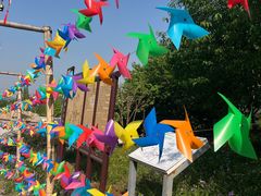 -北京西山国家森林公园