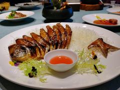 清蒸鲥鱼-宝燕壹号(徐汇店)
