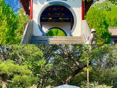 -禅宗少林·音乐大典