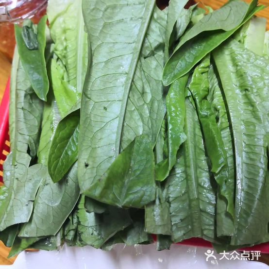 菜佰味庄园(学院店)