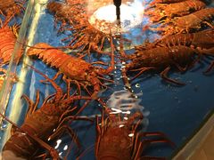 -万龙洲海鲜(南新仓店)