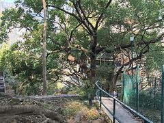-香港大学