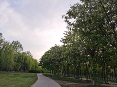 -东坝千亩湖公园