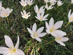 -大妙火锅·非物质文化遗产(东湖公园店)