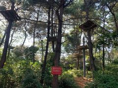 -芦仙山景区-飞越丛林探险乐园