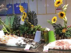 -韩风源烧烤涮自助餐厅(禹州新一峰店)