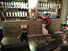 -猫咪博物馆(顶澳仔猫街店)