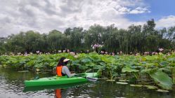 -剑鱼皮划艇俱乐部(石湖基地)