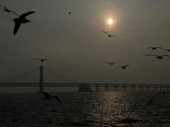 -星海广场