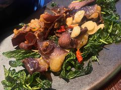 -滇野云南野生菌餐厅(陕西南路店)