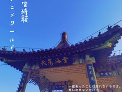 -北宫国家森林公园