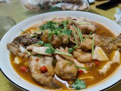 -煲来饱去冷水鱼