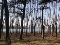 -长春市南湖公园