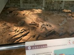 -自贡恐龙博物馆