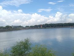 -大湾区中央湿地公园-十九涌