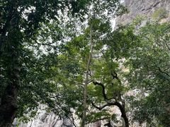 -雁荡山风景名胜区