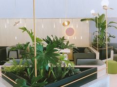 -芭莉与彩虹西餐厅(成都合生汇店)