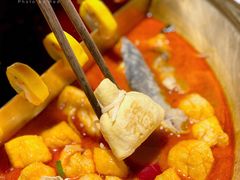 -九鼎轩脆毛肚火锅(南京东路店)