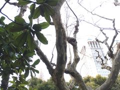 -复旦大学光华楼