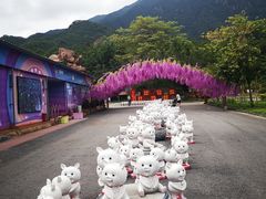 -牛鱼嘴原始生态风景区