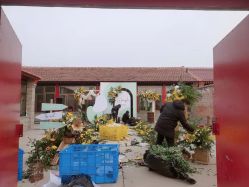 -Sunny喜铺婚礼策划(东部店)