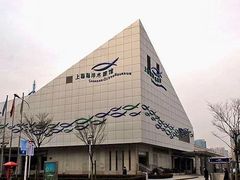 -上海海洋水族馆