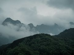 -王顺山国家森林公园