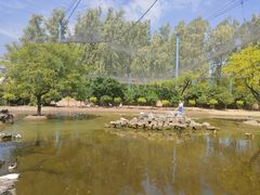 -森林公园(尖草坪区)