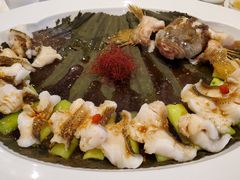 荷叶去骨东星斑-宝丽轩中餐厅BAOLIXUAN