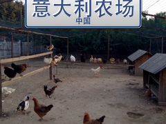 动物园-意大利农场度假村