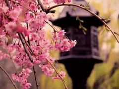 -旺福楼·包点(碑亭巷店)