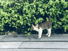 -南丰汇(新港东路店)