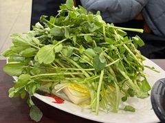 -华仔土鸡店(三元里分店)