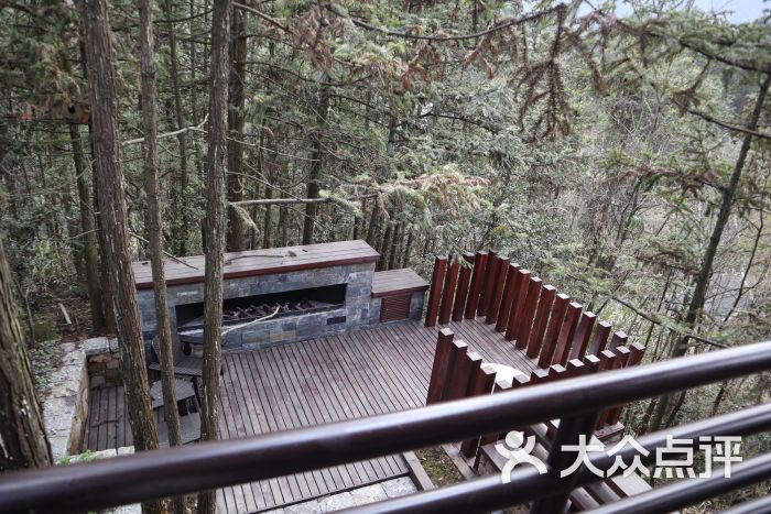 自由家树屋世界-图片-休宁县酒店-大众点评网