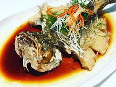 -至潮餐厅精致粤菜·活鲈鱼·走地鸡(珠江新城店)