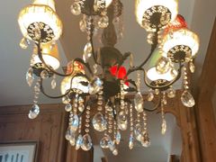 -新白鹿餐厅(城西银泰城店)