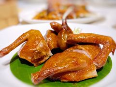 红烧乳鸽-东海海鲜酒家(中信广场店)