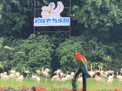 -广州长隆飞鸟乐园
