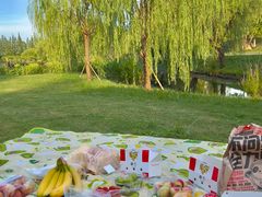 -前小桔亲子创意农场·草莓采摘·露营烧烤