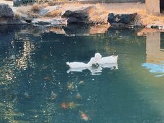 -镇江中国醋文化博物馆