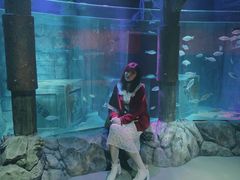 -沈阳海洋探索中心