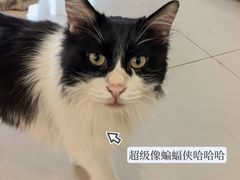 -平行世界·猫咖(首经贸店)
