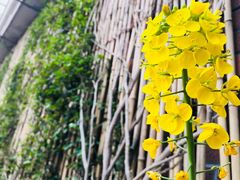 -瓦库茶馆17号(海汇港店)