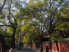-北京国子监胡同