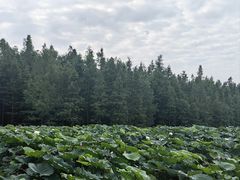 -云龙湖旅游景区