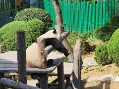 -大连森林动物园