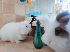 -雨林宠物医院 非犬猫异宠专科