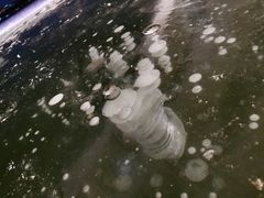 -南湖大桥