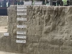-金沙遗址博物馆